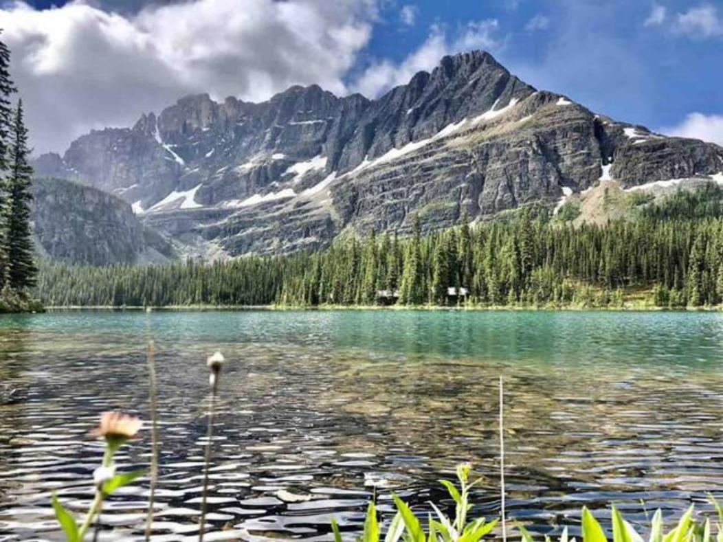 Falcon Crest Lodge 1 Bedroom Condo With Gym & Hot-Tubs & Mountain View Canmore Kültér fotó